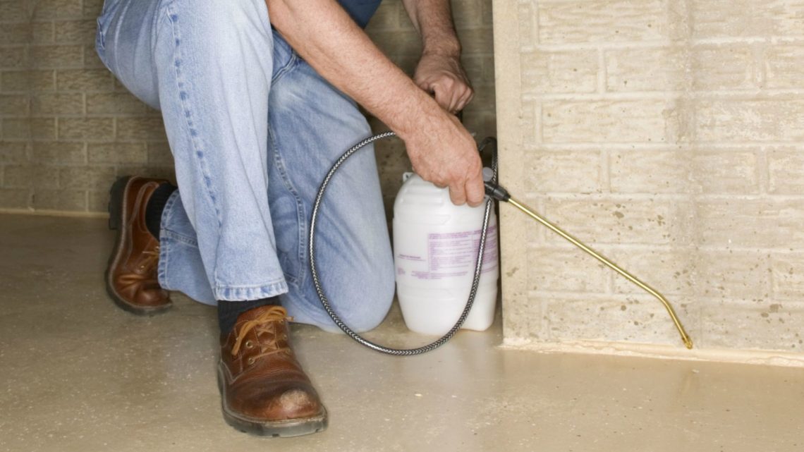 Hiring a Pest Control Company for Your House