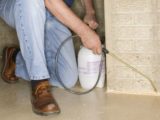 Hiring a Pest Control Company for Your House